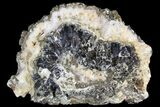 Pyrite On Calcite - Morocco #80729-3